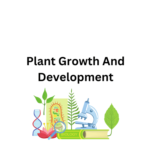 Plant Growth And Development